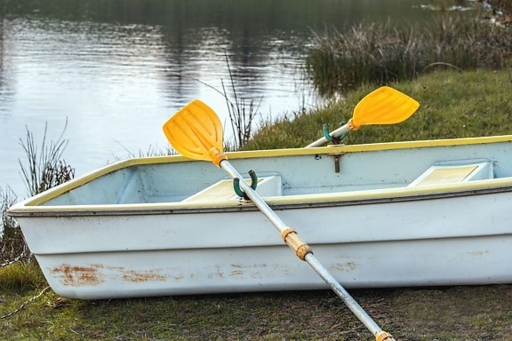 boat, lake, coast, water, grass, paddle