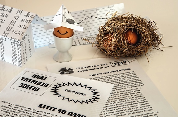 Uovo, pollo, nido, carta, decorazione, tavola