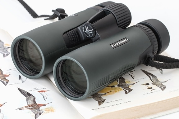 binoculars, optics, bird, science, animal