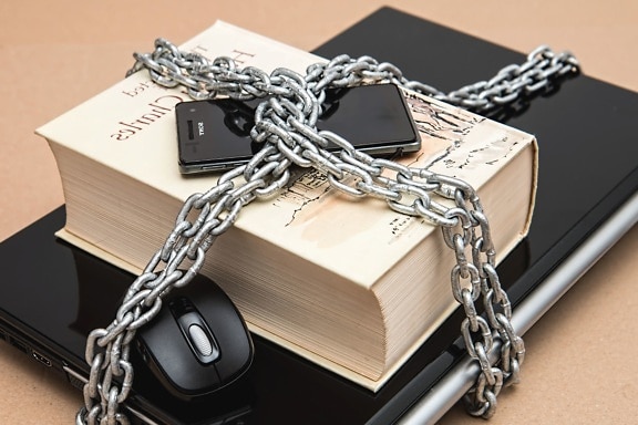 laptop, computer mouse, cell phone, book, chain, security