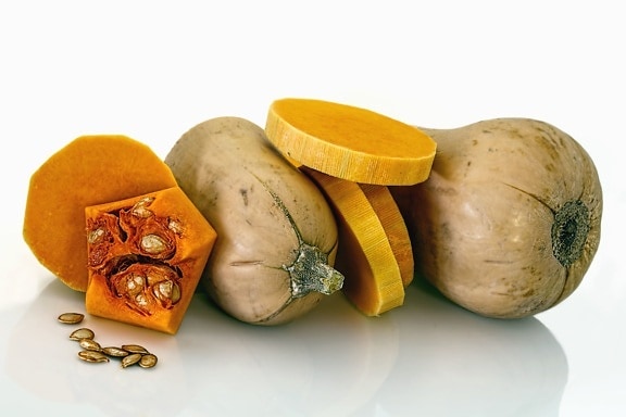 pumpkin, vegetable, seed, food, plant