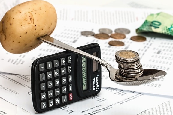 potato, spoon, money, calculator, paper, finance, business
