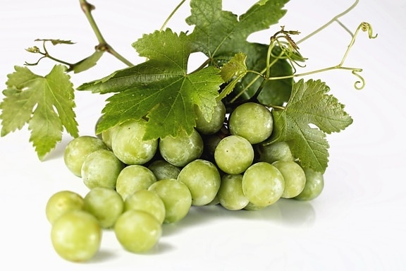 grape, fruit, produce, food, vineyard, leaf