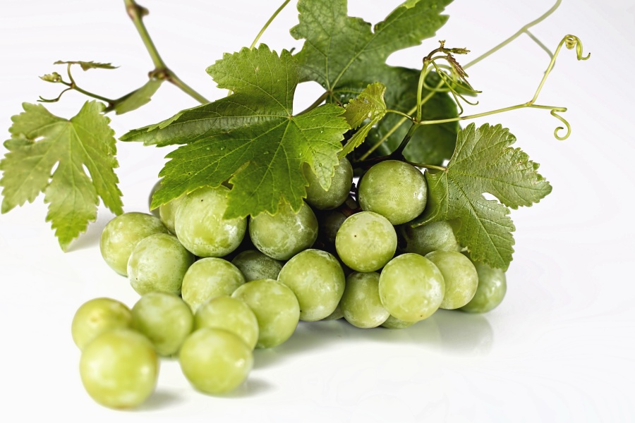 anggur, buah, memproduksi, makanan, kebun anggur, daun