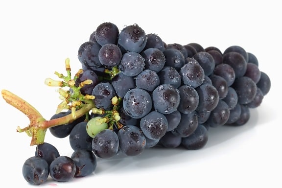 grapes, food, fruit, sweet, nutrition