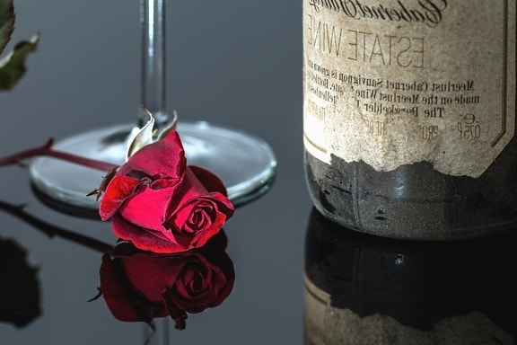 rose, glass, table, reflection, petal, romantic