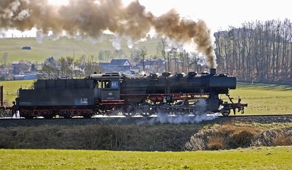 Locomotive à vapeur, fumée, vapeur, charbon, moteur, électricité, herbe, forêt, transport