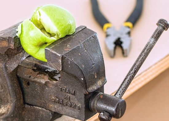 clamp, plain, metal, tool, apple, fruit