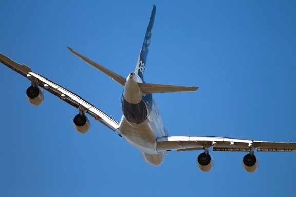 passenger, plane, jet, wing, metal