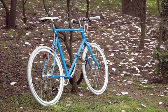 Bicicleta, madera, bosque, vehículo, rueda, naturaleza