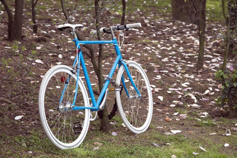 велосипед, дерево, ліс, транспортного засобу, колесо, природи