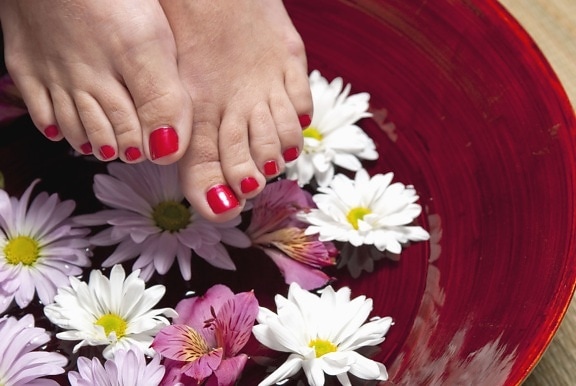 stopala, noktiju, boja, cvijet, latica, lonac, biljka, žena