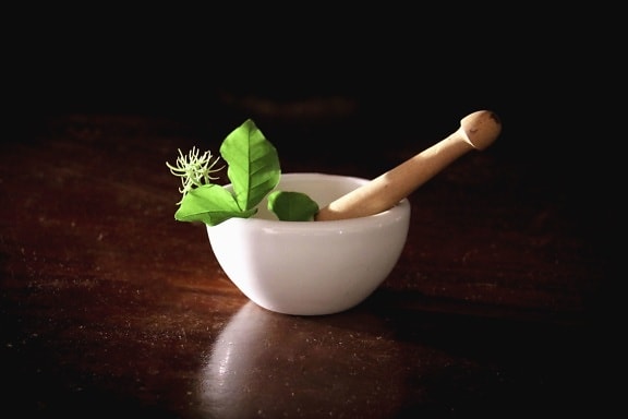 bowl, porcelain, plant, leaf, laboratory