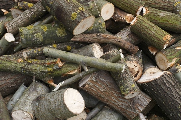 hout, brandhout, textuur