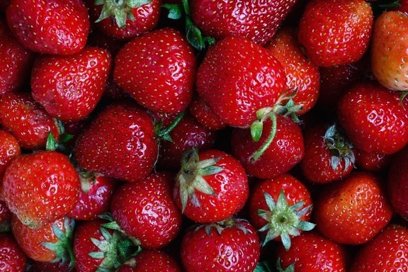 Erdbeere, Obst, Lebensmittel, süß, Pflanze, Ernährung