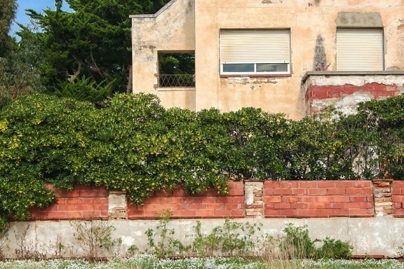 house, fence, brick, window, plant, bush