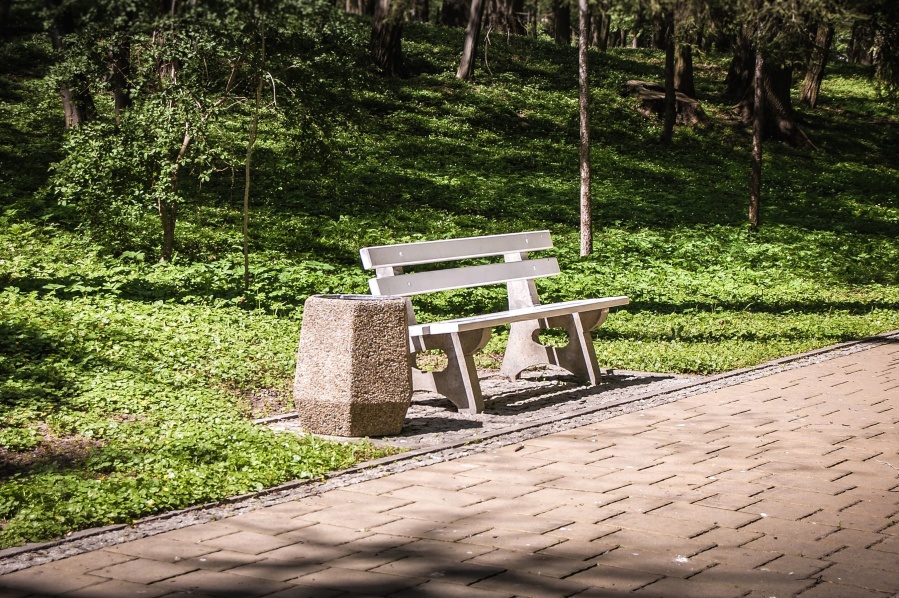 bench, park, grass, wood, garbage can, path