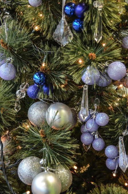 dekoration, fir, jul, semester, träd, firande, vinter
