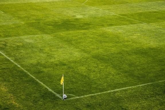 Campo de fútbol, ​​esquina, bola, bandera, hierba, deporte