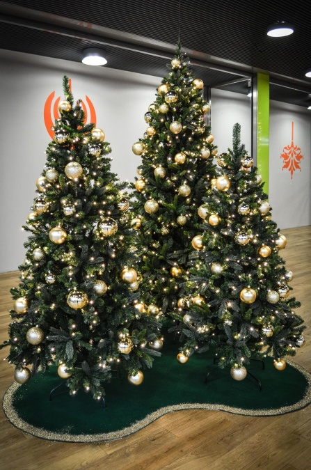 grantræ, jul, nytår, dekoration, fest, gave, interiør