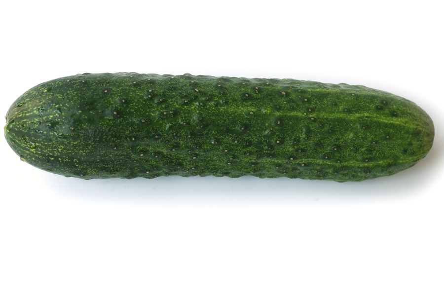 komkommer, plantaardige, plant, voeding, voeding, vitamine, organische