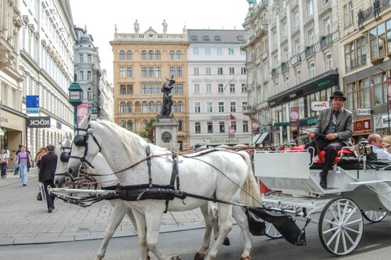 horse, carriage, man, city, people, attraction