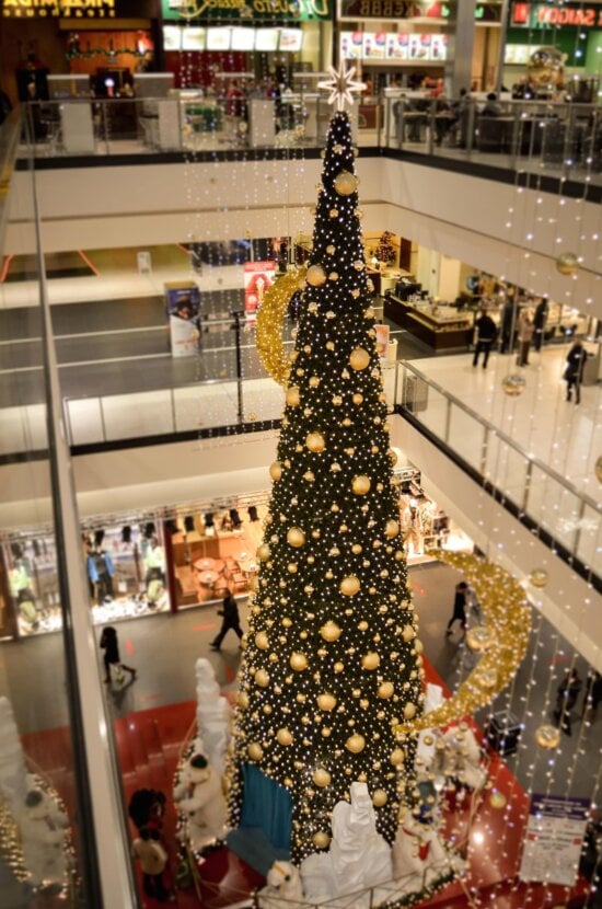 interior, fir, christmas, celebration, shop, people