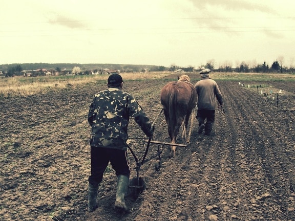 field, plow, horses, people, farming, agriculture, plowing, landscape