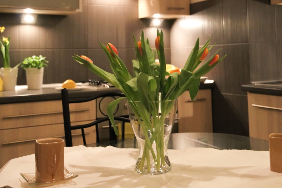 vase, plant, flower, leaf, decoration, house, table, chair, bouquet