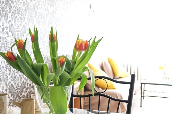 Planta, flor, primavera, tulipán, flor, interior