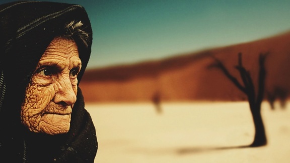 elderly person, grandmother, wrinkle, scarf, eye, tree, desert