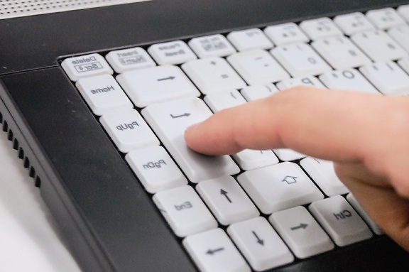 tastaturet, enhet, teknologi, bærbar datamaskin, finger, business, hånd
