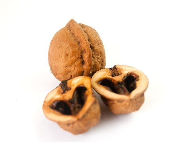 walnut, bark, brown, dieta, food