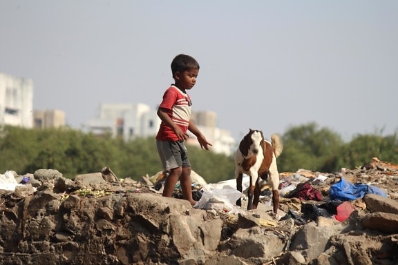 junkyard, child, India, goat, garbage
