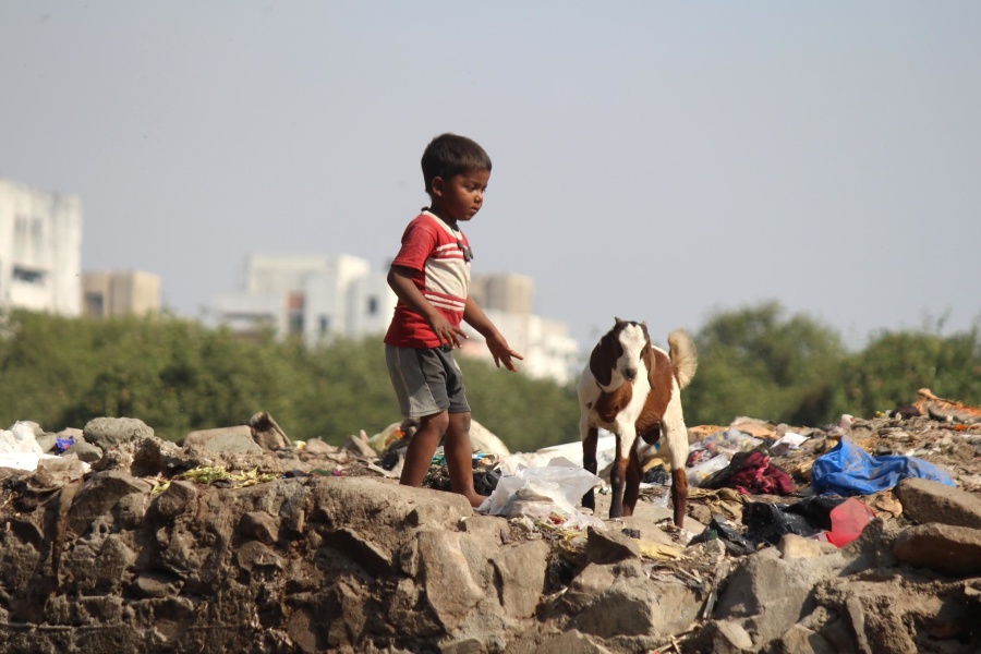 Junkyard, niño, India, cabra, basura