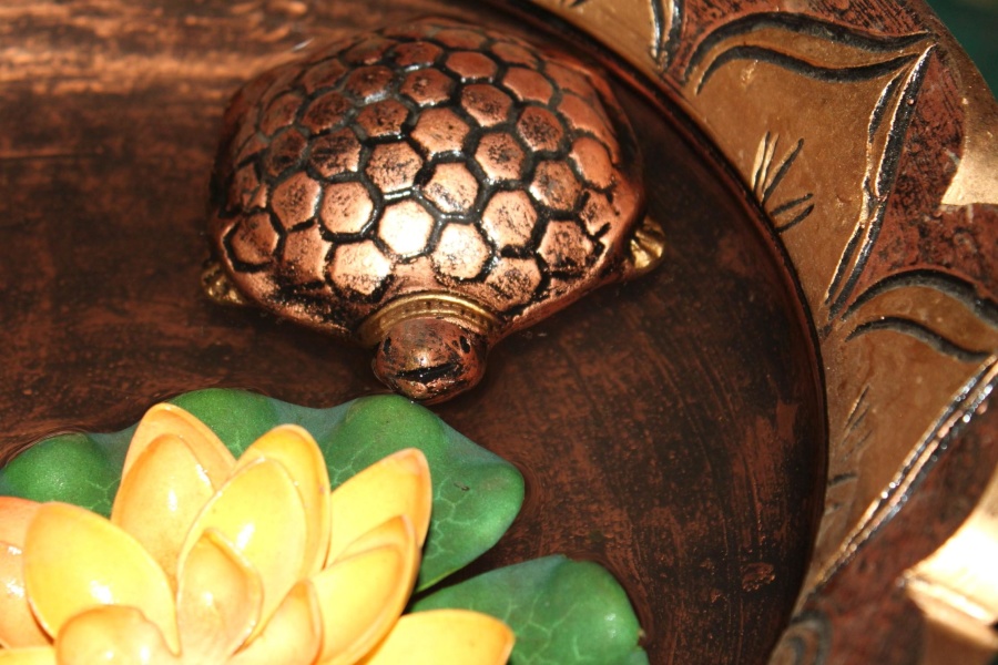 sköldpadda, metall, blomma, dekoration, vatten