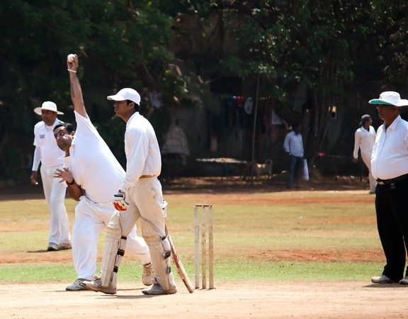 cricket, handling, Indien, sport, rekreation