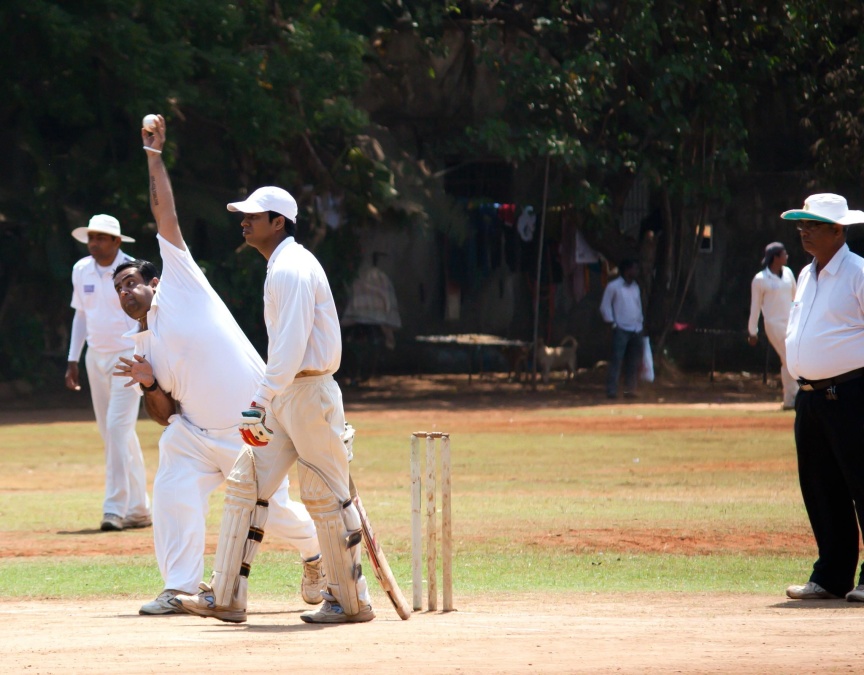 Cricket, actie, India, sport, recreatie