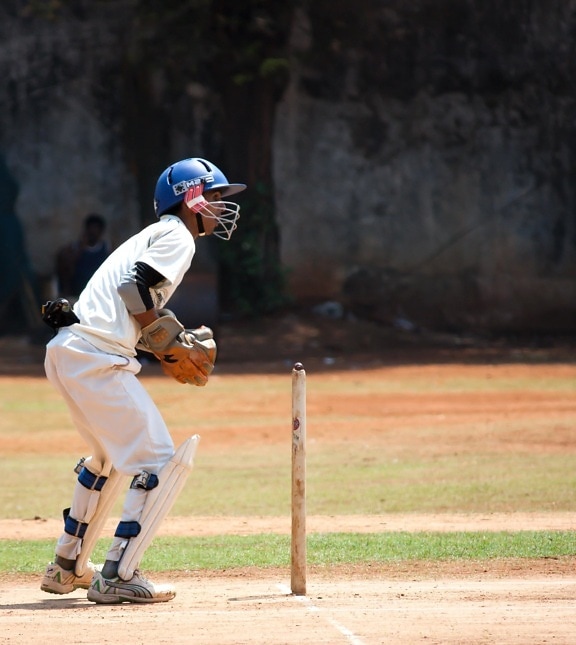 cricket, action, base, boll, spelare, sport, idrottsman nen