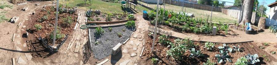 zahrada, dvorek, exteriér, byliny, zelenina