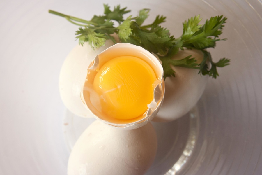 egg, yolk, ingredient, breakfast, coriander