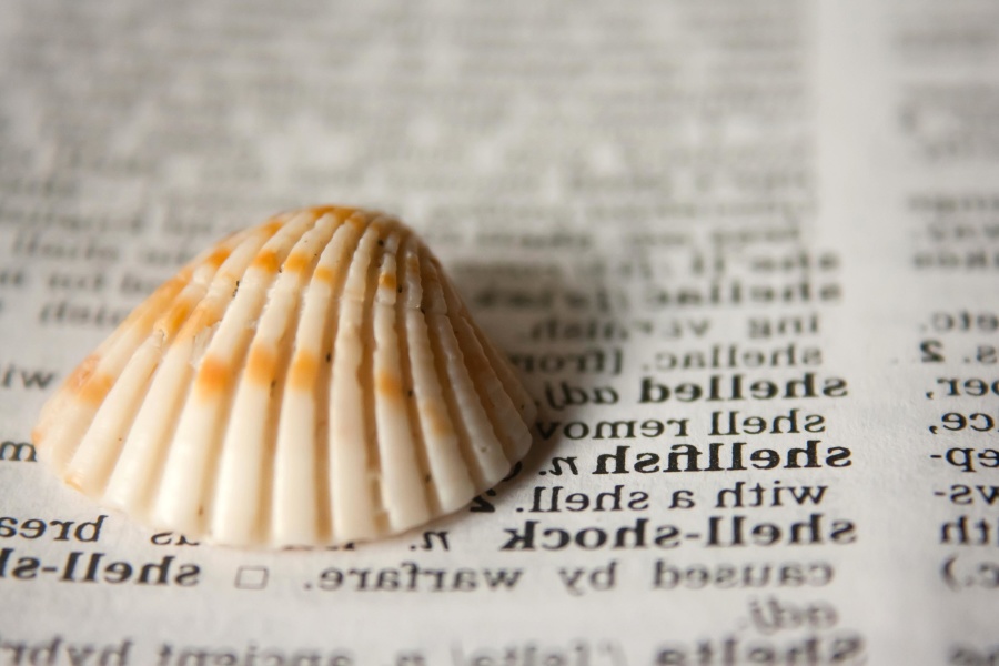 Shell, ordbok, dekker, tekst, bok