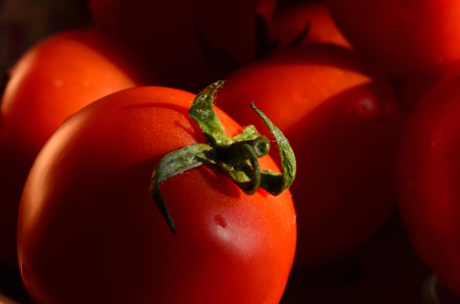 paradajka, zeleniny, red, potraviny, čerstvé, organickou, vegetariánskou