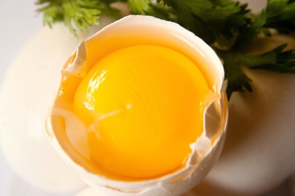 kuning telur, bahan, makanan, Sarapan