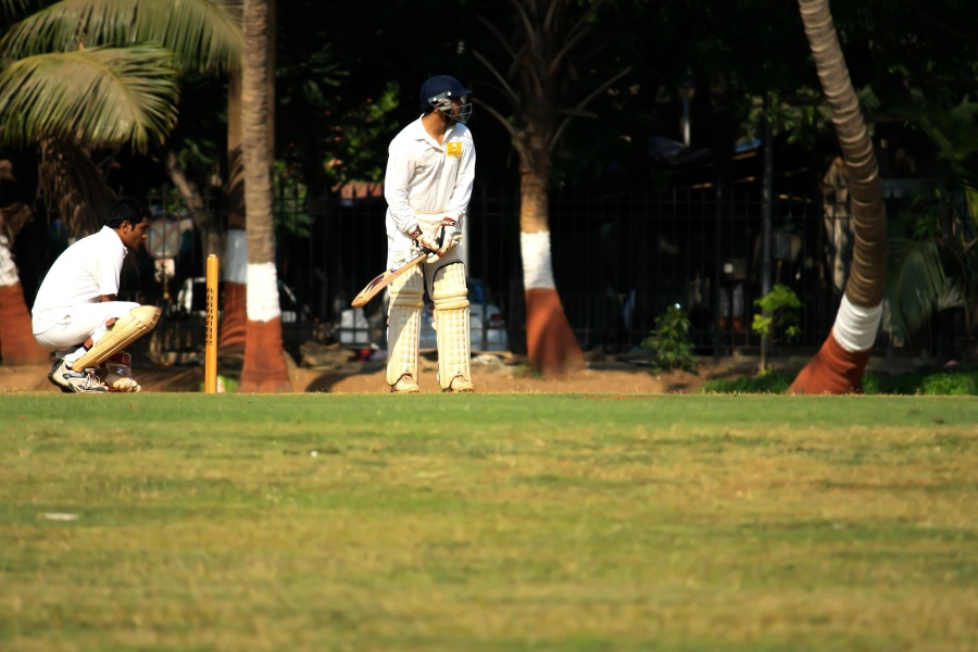 cricket sport, spel, aktivitet, tävling, gräs