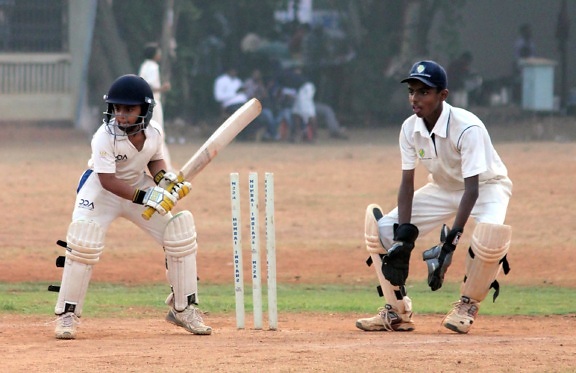 cricket sport, spil, action, bold, sport