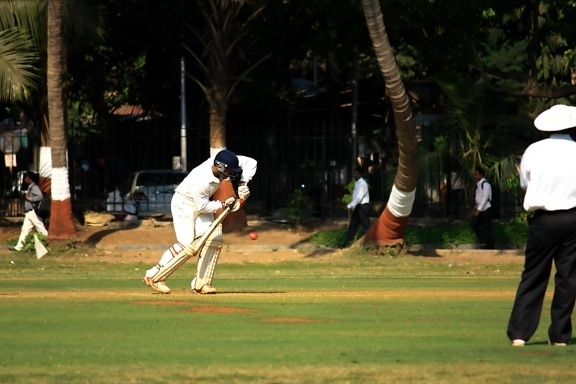 Cricket sport, spel, defensie, bal, activiteit