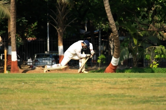 крикет игра, спорт, отдих