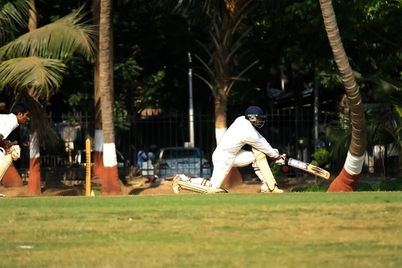 cricket sport, græs, felt, spiller, spil