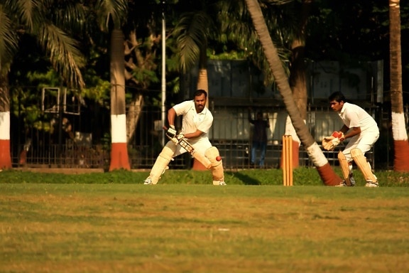 спорт, крикет спорт, игра, физическа активност